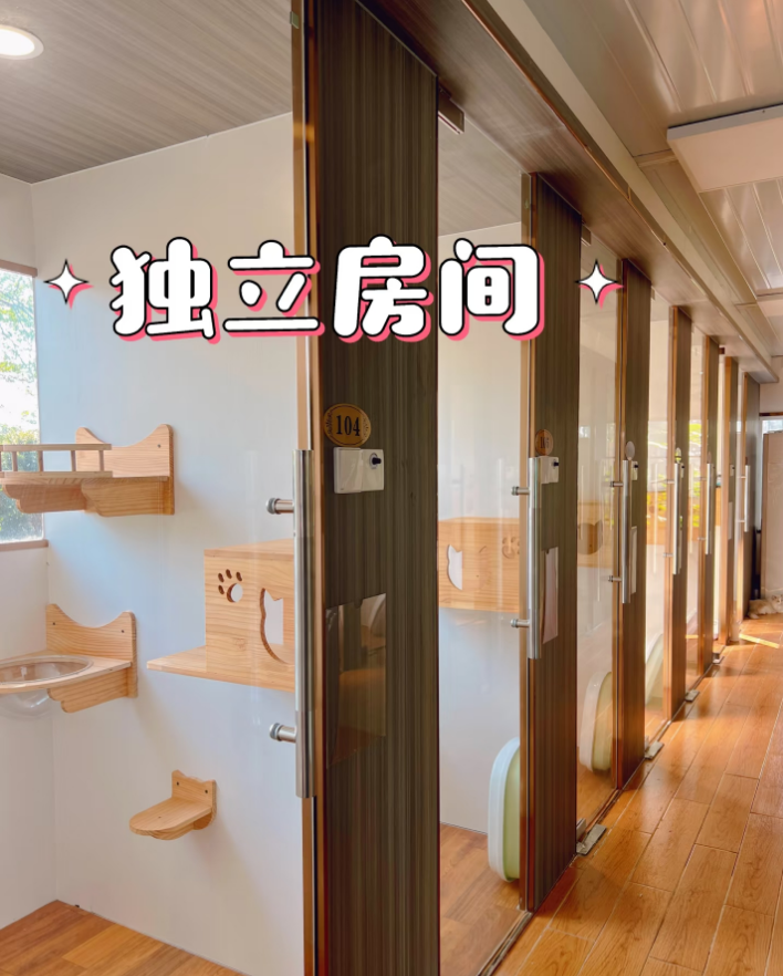 河源宠物